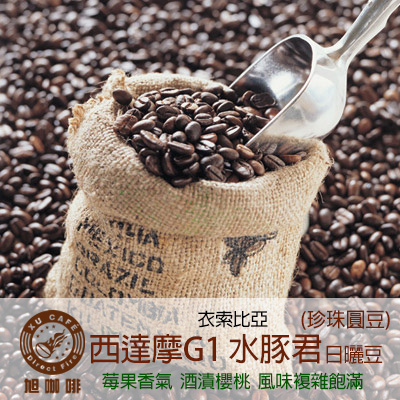 =非洲地區= 西達摩G1 水豚君 珍珠圓豆(日曬豆)-【半磅包裝 / 10入盒裝掛耳】