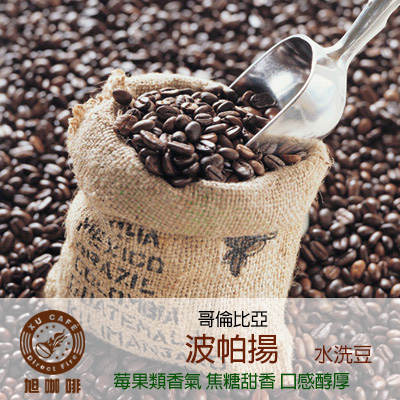 =南美洲地區= 波帕揚(水洗豆)-【半磅包裝 / 10入盒裝掛耳】