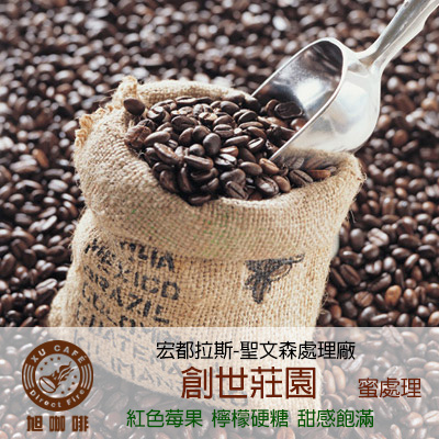 =中美洲地區= 創世莊園-貝拉米諾小農(蜜處理)-【半磅包裝 / 10入盒裝掛耳】