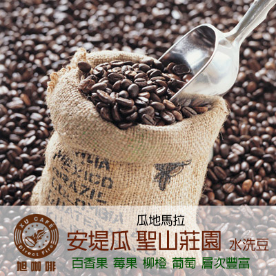 =中美洲地區= 安堤瓜 聖山莊園(水洗豆)-【半磅包裝 / 10入盒裝掛耳】