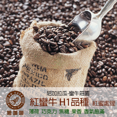 =中美洲地區= H1品種 紅蠻牛(紅蜜處理)-【半磅包裝 / 10入盒裝掛耳】