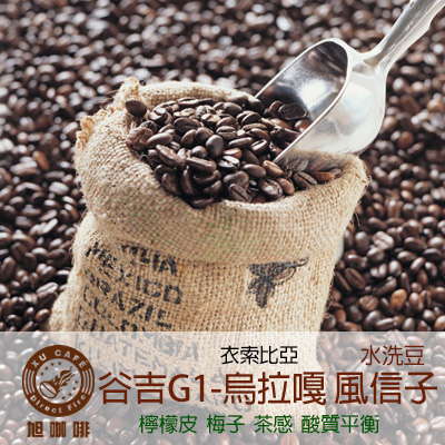 =非洲地區= 谷吉G1-烏拉嘎 風信子(水洗豆)-【半磅包裝 / 10入盒裝掛耳】