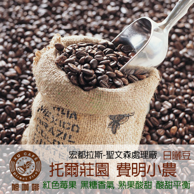 =中美洲地區= 聖文森處理廠 托爾莊園-費明小農(日曬豆)-【半磅包裝 / 10入盒裝掛耳】