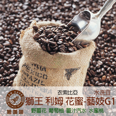 =非洲地區= 獅王 利姆 花蜜-藝妓G1 (水洗豆)-【半磅包裝 / 10入盒裝掛耳】